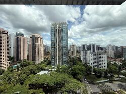 The Tomlinson (D10), Apartment #453596161